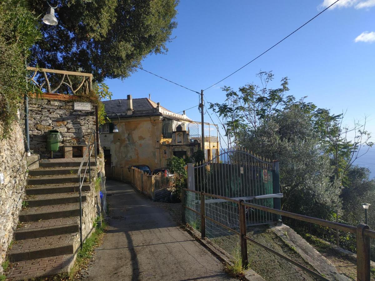 Ferienwohnung Casaviva - Ampio Trilocale Vista Mare Con Piscina - Pieve Alta Pieve Ligure Exterior foto